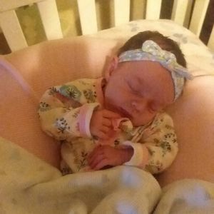 Meet your Posher, Ivy